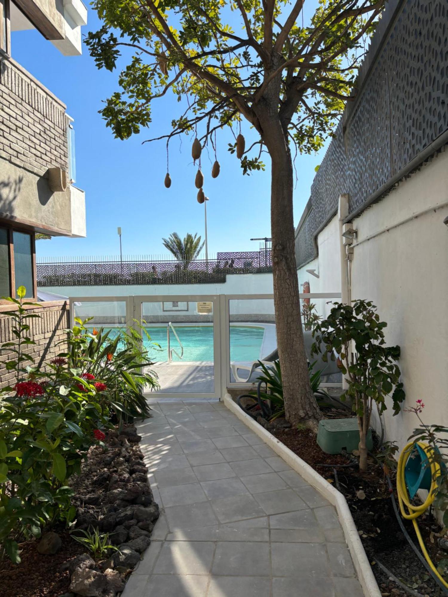פלאייה דל אינגלז Apartamentos El Paseo מראה חיצוני תמונה