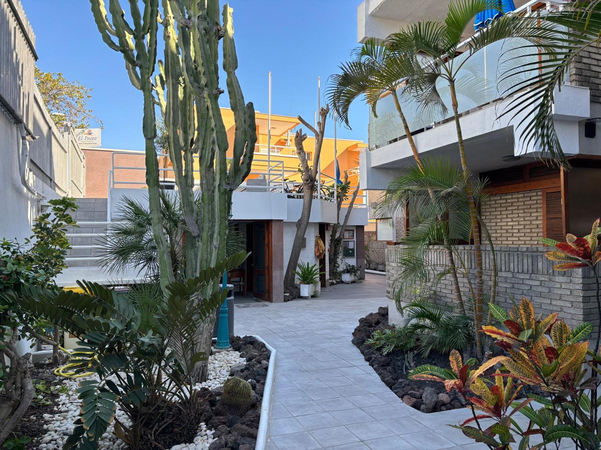 פלאייה דל אינגלז Apartamentos El Paseo מראה חיצוני תמונה